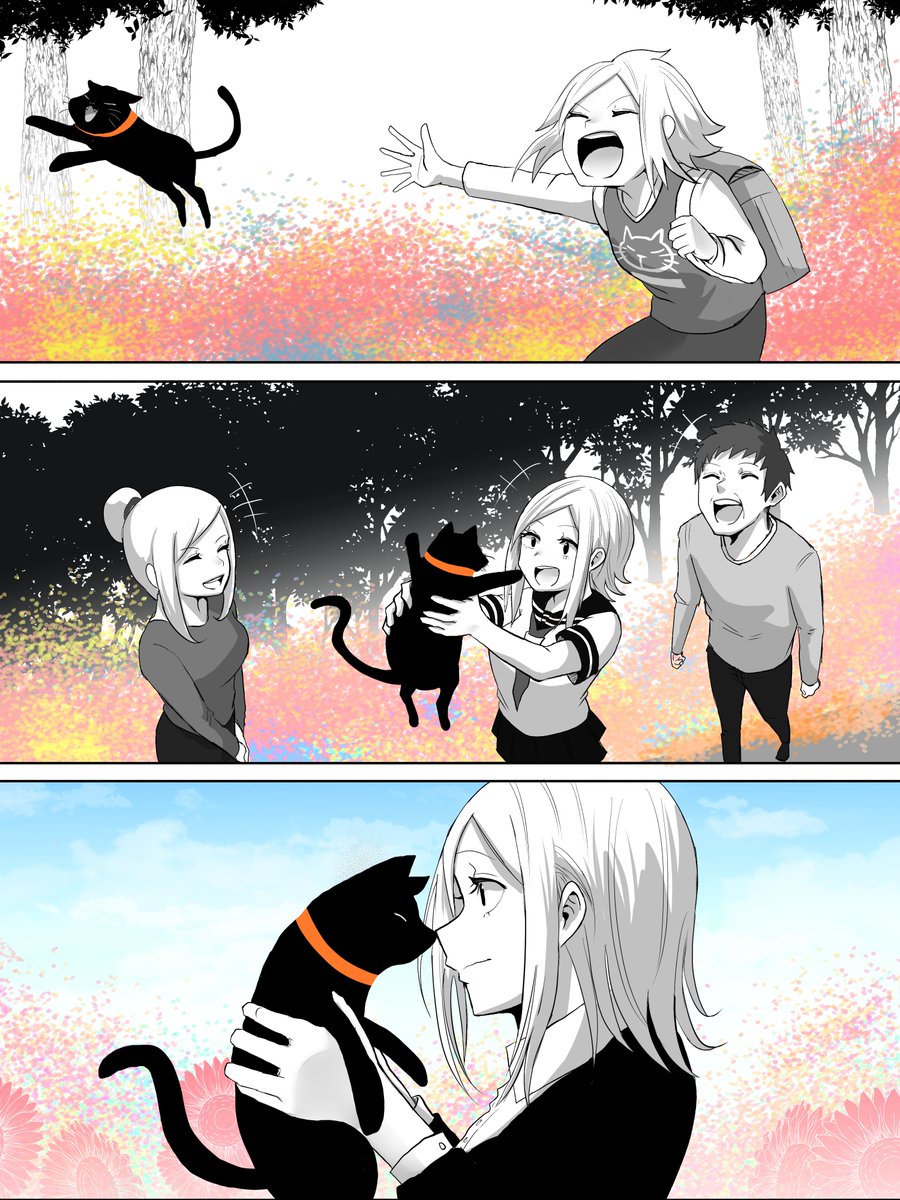 捨て猫が人間から愛情をもらう話 #猫の日 