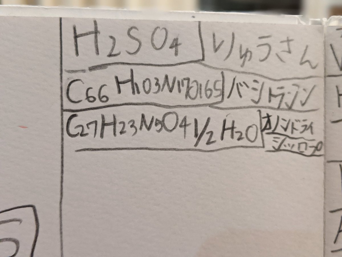 Dr. Stoneにハマりすぎた子供がバグりはじめた