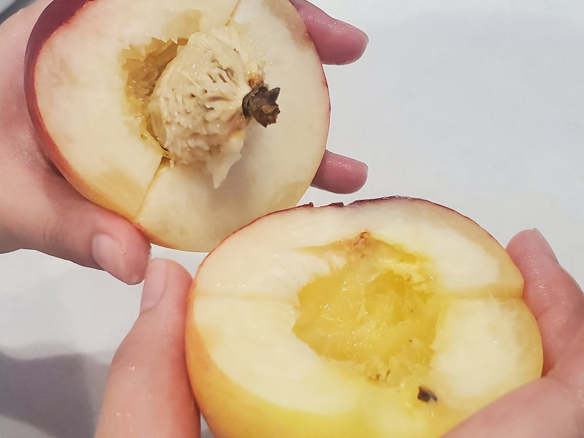 桃をムダなく簡単に食べる方法 ①お尻に沿ってクルッとカット ②カットした線に対し垂直にカット ③実の上と下を持ってねじる ④種を取る ⑤縦長にカット(りんごのように) 端からゆっくり皮をとれば完成