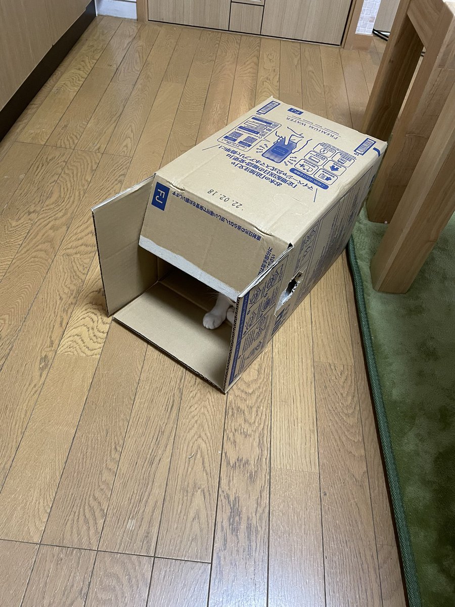  キャリーバッグ出して察知されると隠れちゃうから、気の毒だけど、たまたま入ってた段ボールのまま連れてった