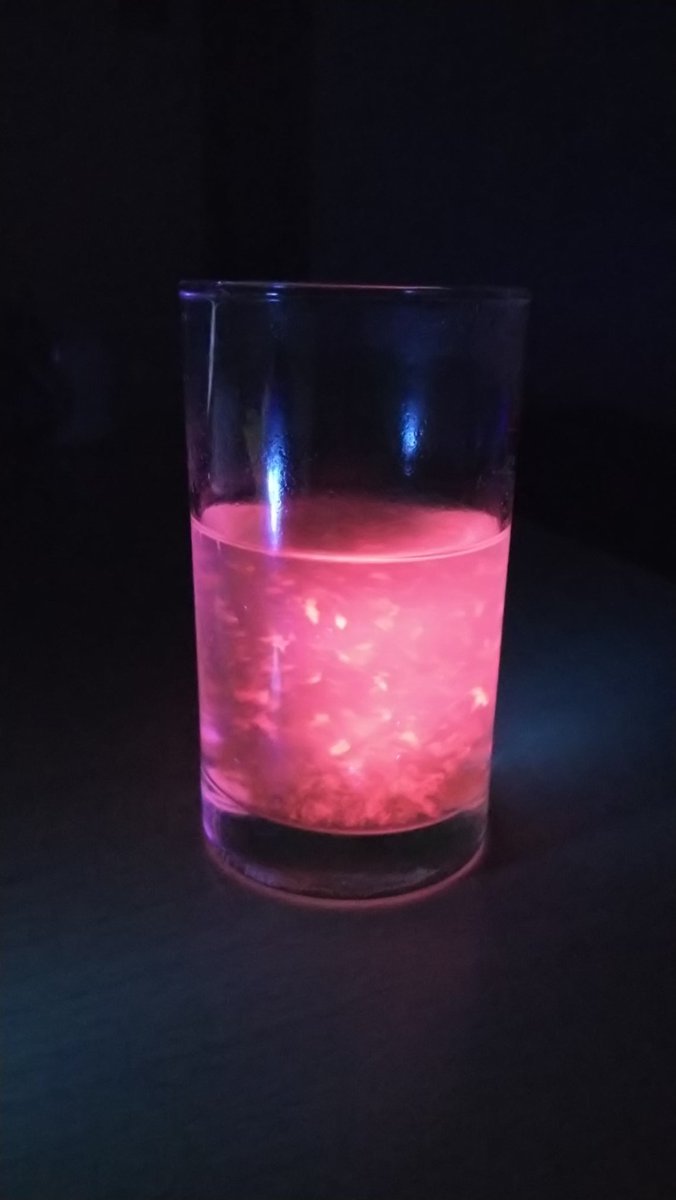 「梅こぶ茶にUVライトを当てるとなぜか赤く光る」という発見があったので、何かの役に立てて下さい 