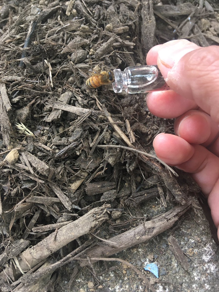 今日出番が！！🤩🤩🤩  