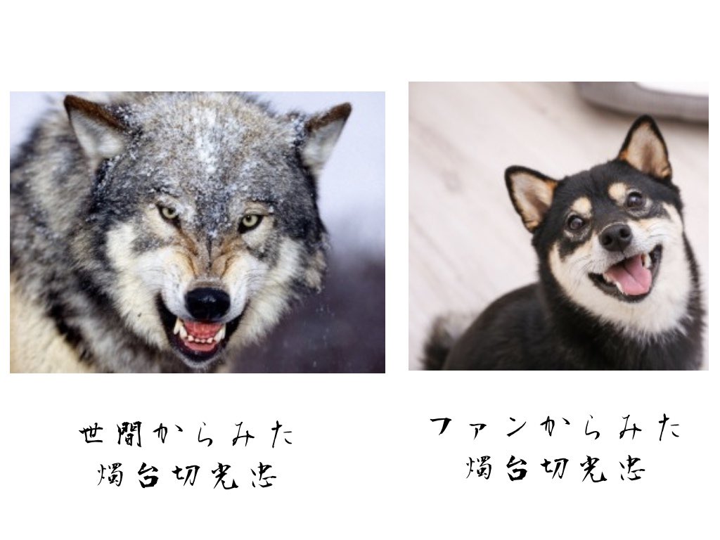 これだ  世間から見た○○とファンから見た○○ 