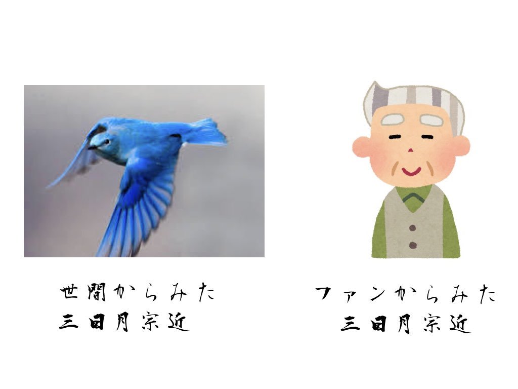 これだ  世間から見た○○とファンから見た○○ 