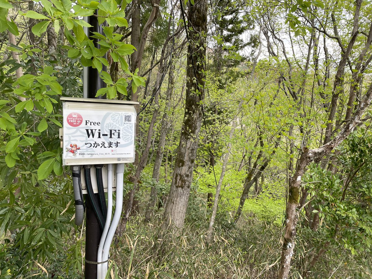 えっ？？？今時の石田三成陣地ってWi-Fi使えるの？？？？ 