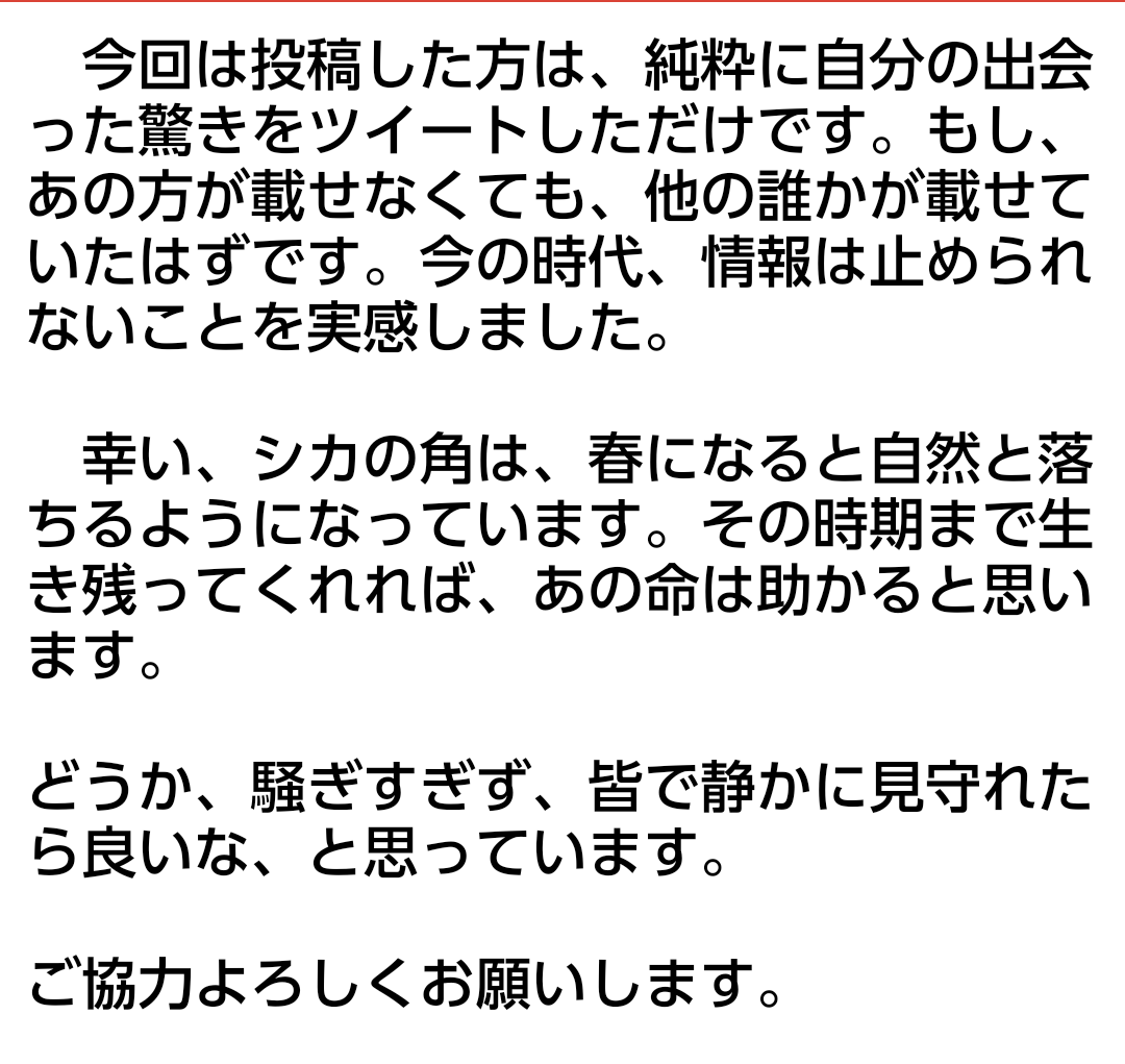 頭部を付けたシカについて。  少しだけ書きました。 