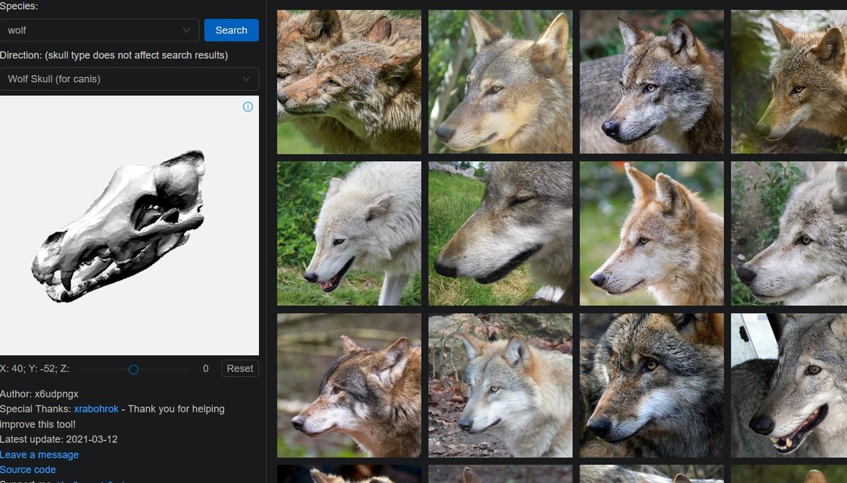 基本的な動物の骨格と角度を指定すると、それに対応した資料画像を沢山出してくれるこういうのもあるんです  便利すぎるんですよこれほんとに   動物、ケモノを描く人は必須級だと思う