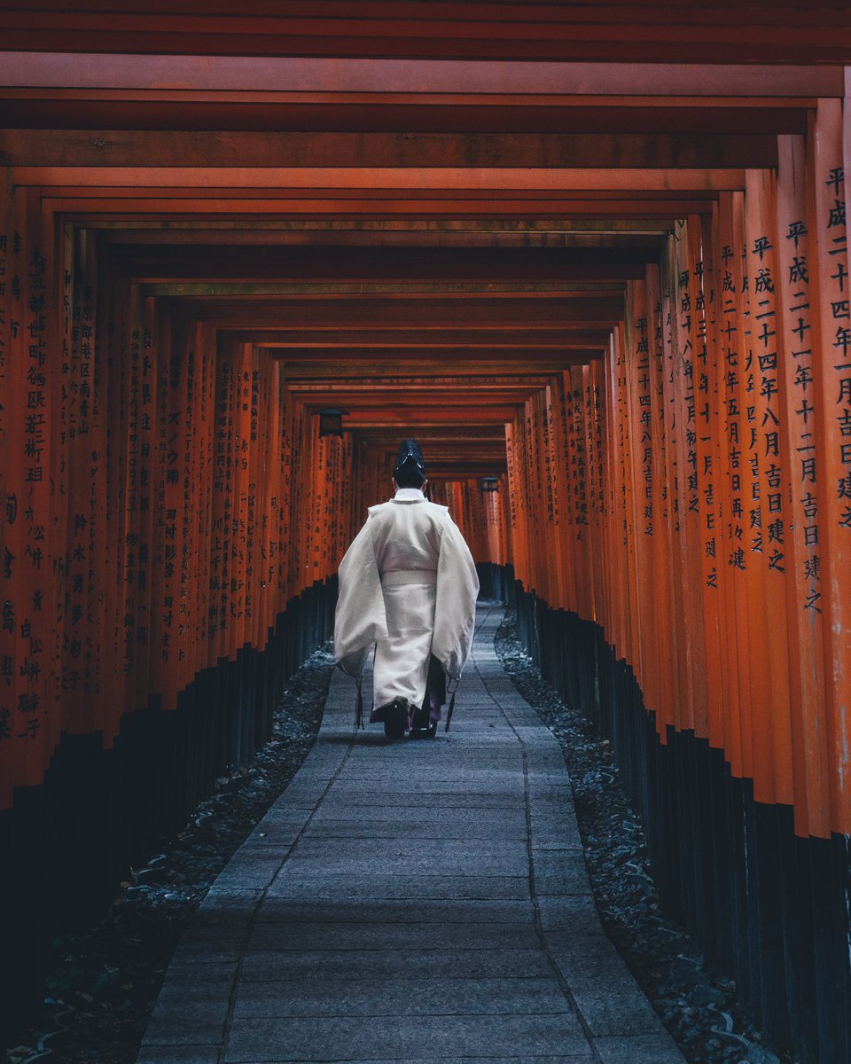 早朝の伏見稲荷に行くと見られる景色が素晴らしい。 