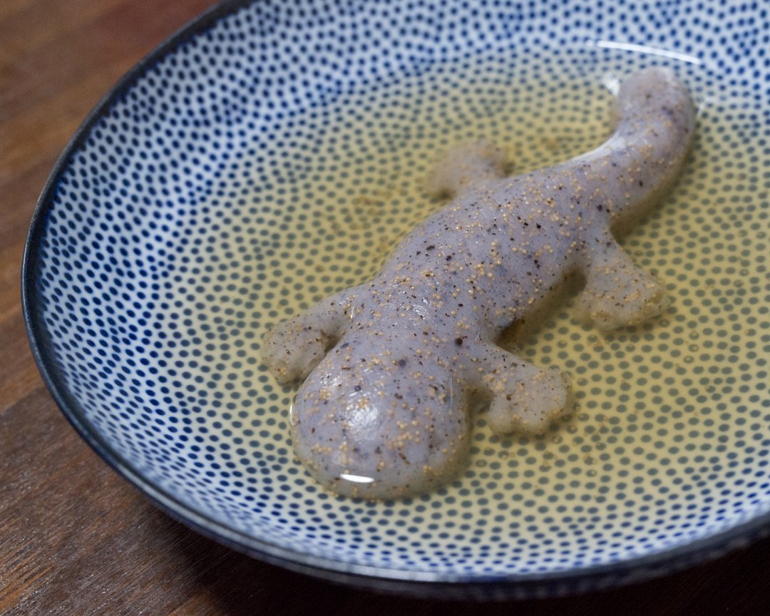 お土産で貰ったこんにゃくを 食べてみようと思うが どうも食欲がわかない…😓 