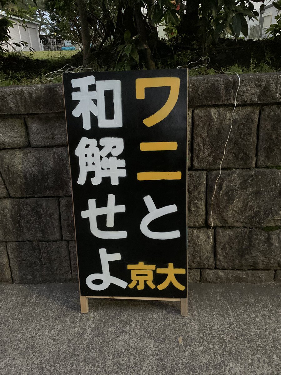 今年もいろいろ出ていますがこれが一番好きですね  「一年後に合格るワニ」  #京大立て看 #京大入試2020 