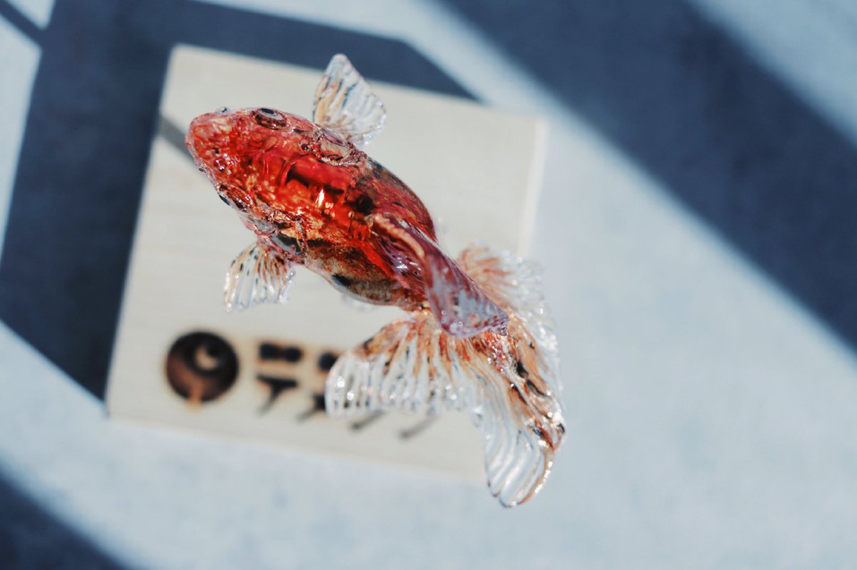  アメシンの職人が手がける金魚の飴を手に入れたのですが素晴らしすぎませんか‥