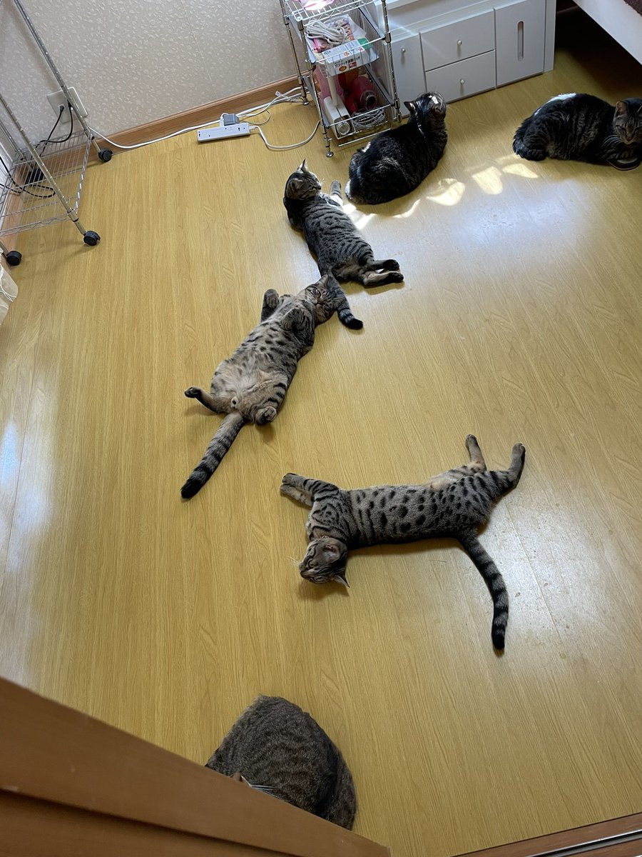 冷房をつけた途端続々とやってきた…