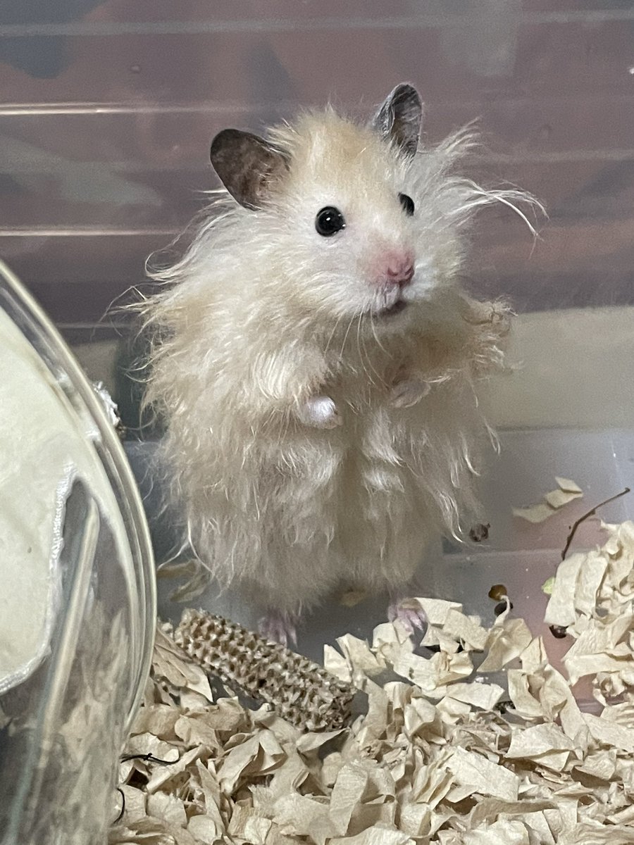 なにこれ😂😂😂 