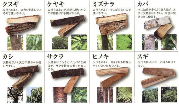 焚き火するなら焚き火する薪を知ること。これ、焚き火の基本です。