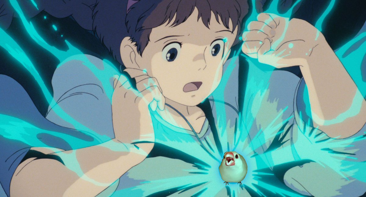 むちゃくちゃおこってる文鳥 