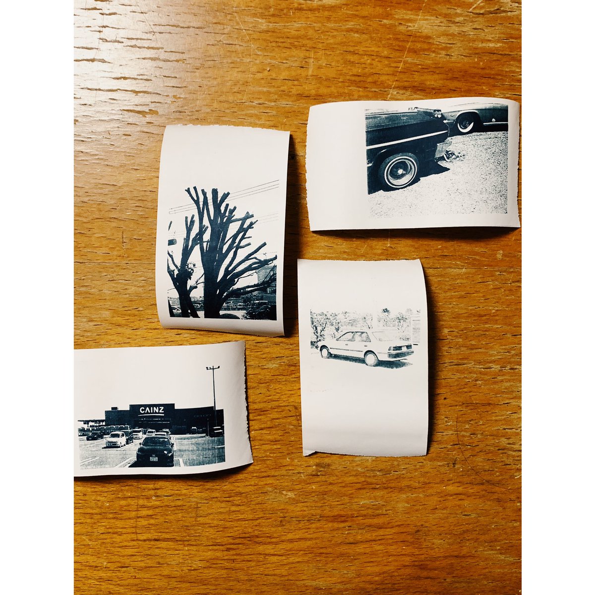  コスパ最強だけど楽しすぎて一日で2ロール使ってしまった