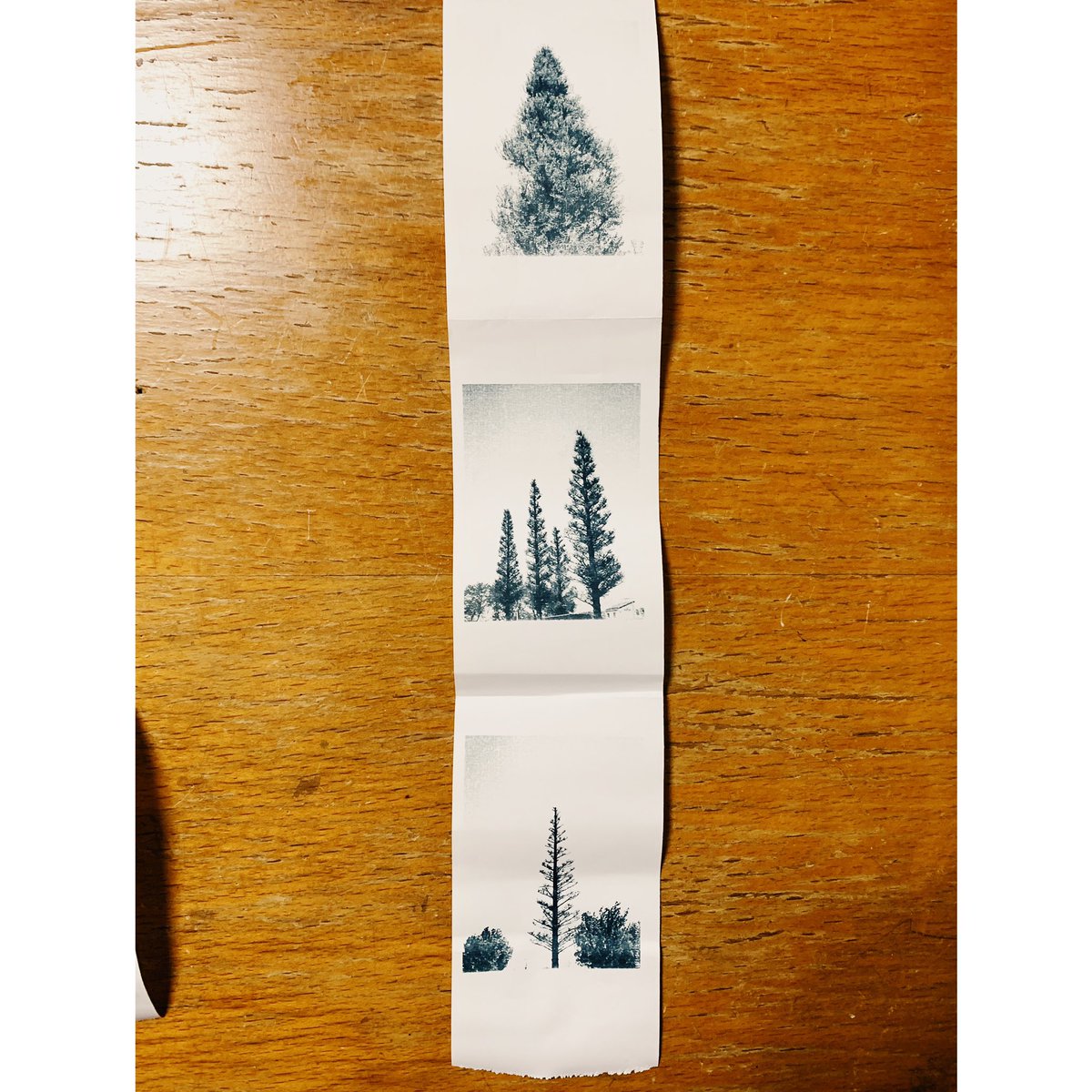  コスパ最強だけど楽しすぎて一日で2ロール使ってしまった