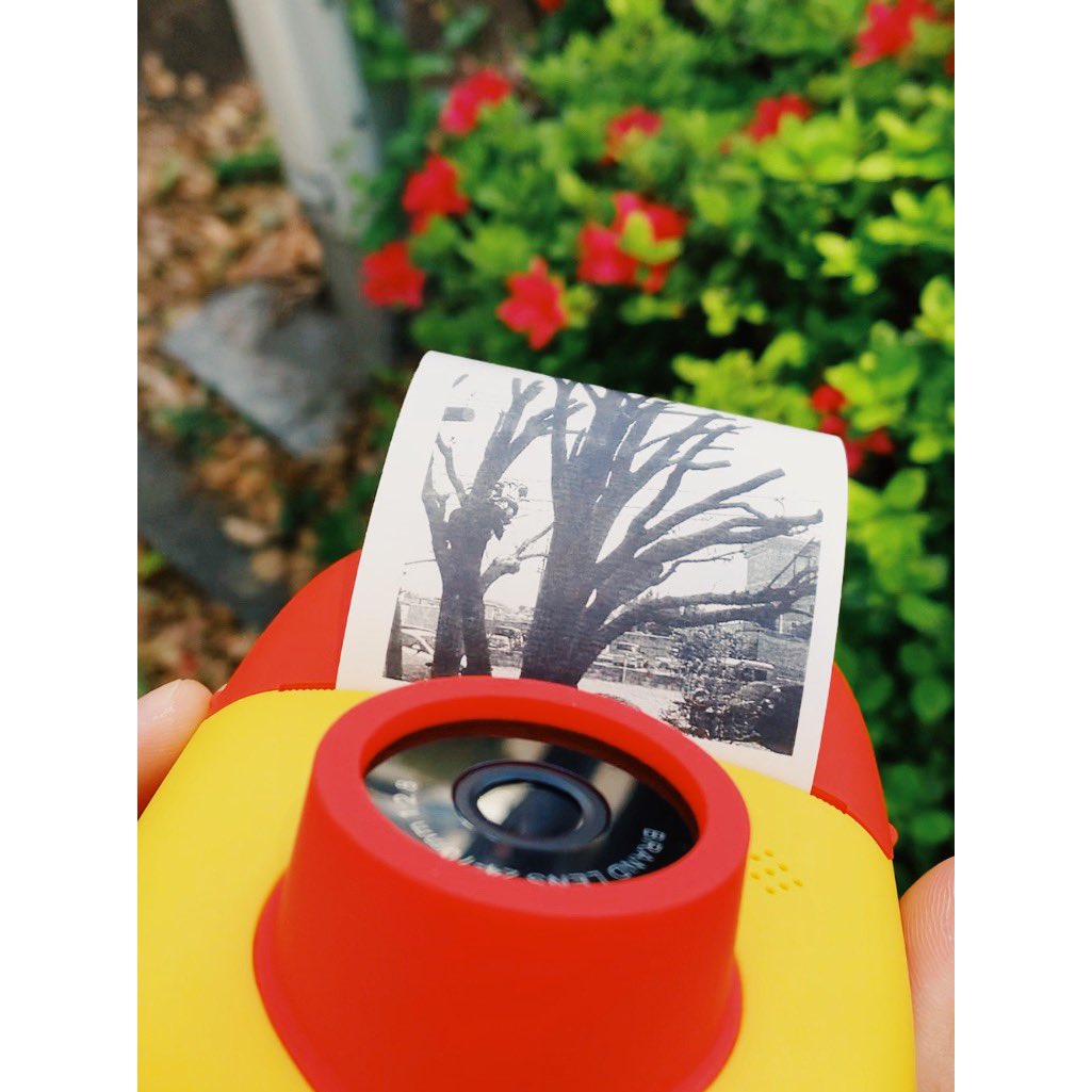 コスパ最強だけど楽しすぎて一日で2ロール使ってしまった