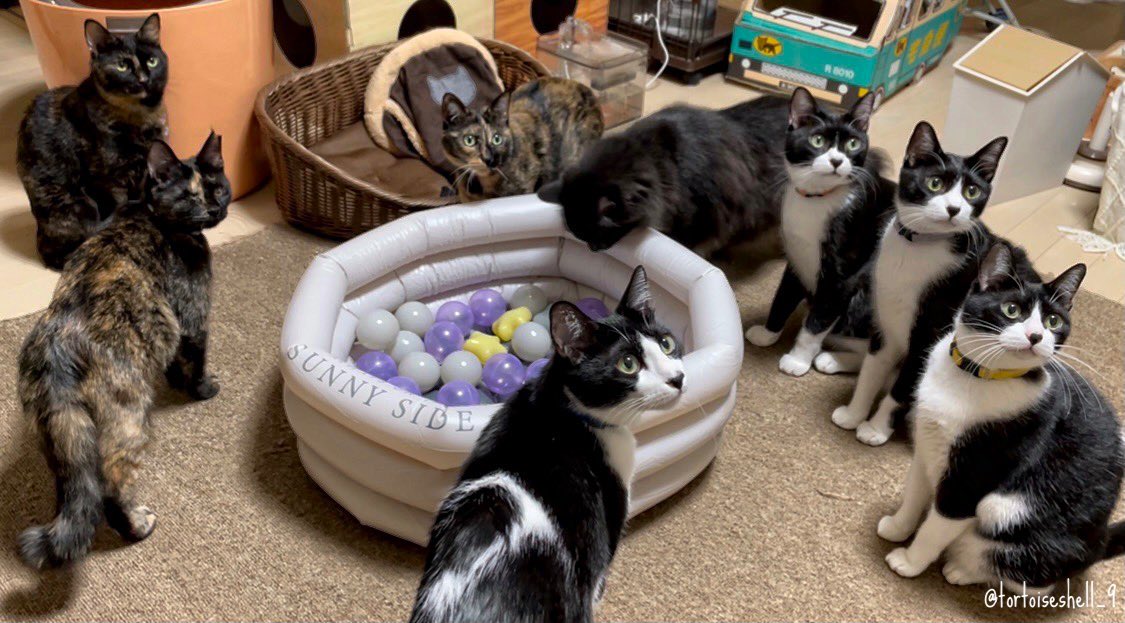 の目線が痛い なんかごめん(笑) 