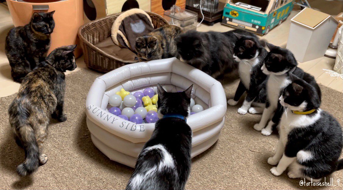 の目線が痛い なんかごめん(笑) 