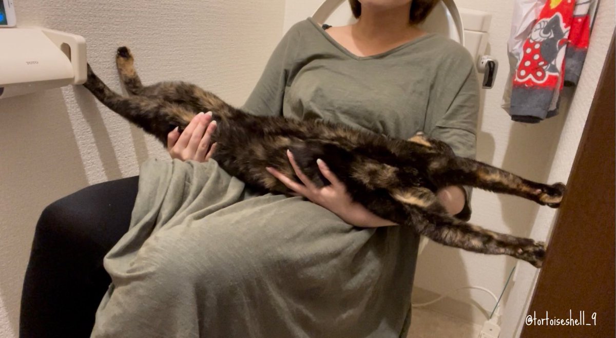 Q.抱えている長いものは何ですか？ A.寛いでいる猫ちゃんです。 