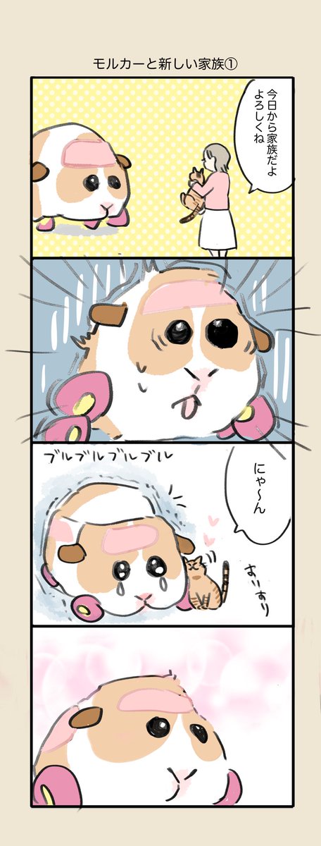 モルカーと猫ちゃん🐱 #モルカー 