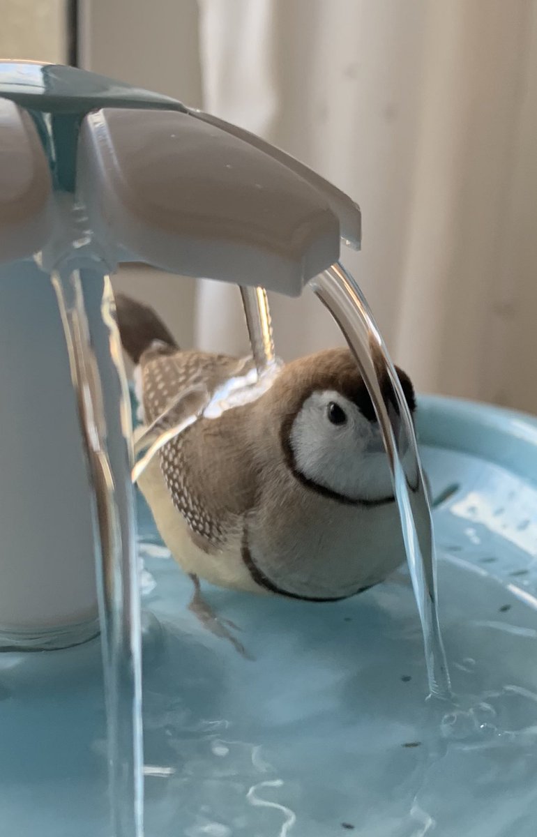 全部はじいてる 