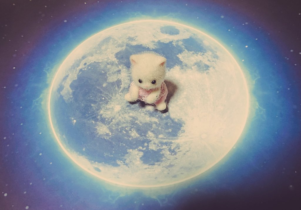 キャンドゥで売ってたバカのフォトジェニックシートよい 