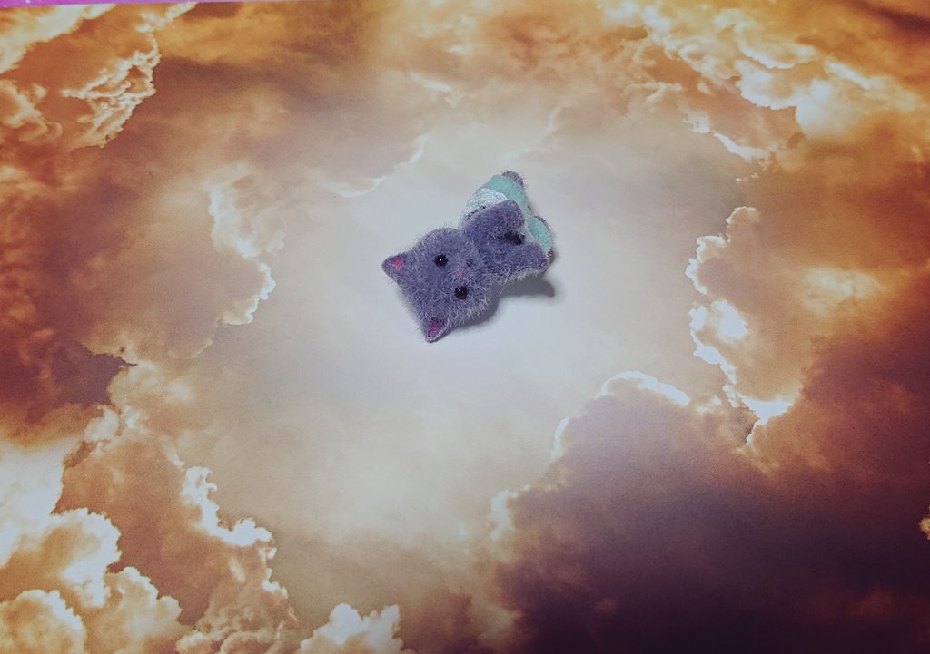 キャンドゥで売ってたバカのフォトジェニックシートよい 