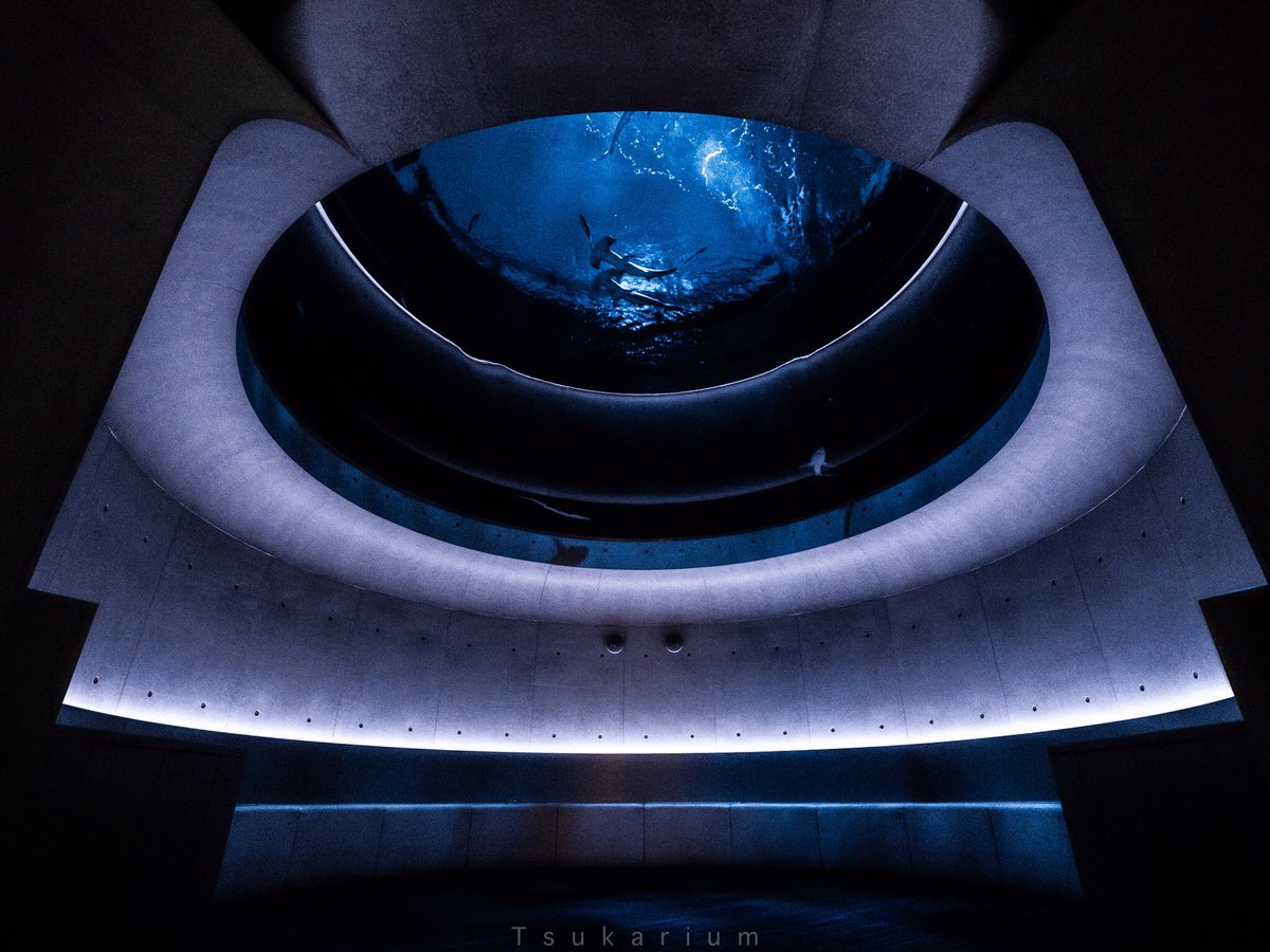 四国水族館は水槽そのものの美しさも楽しめる水族館 