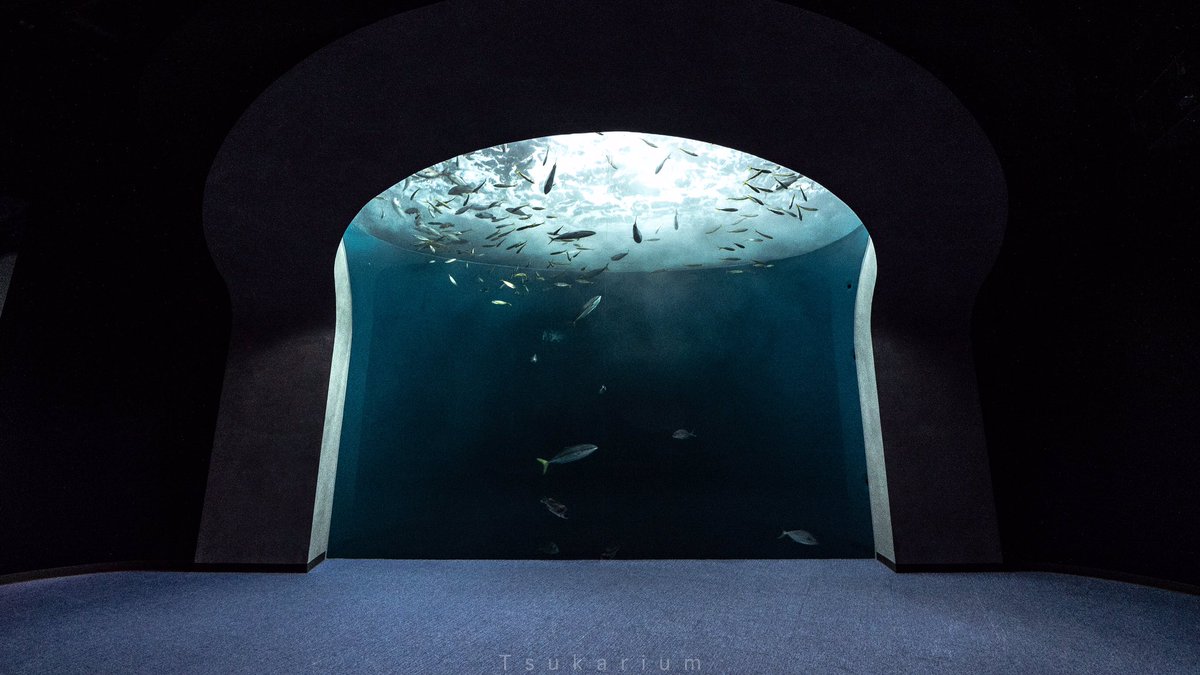 四国水族館は水槽そのものの美しさも楽しめる水族館 