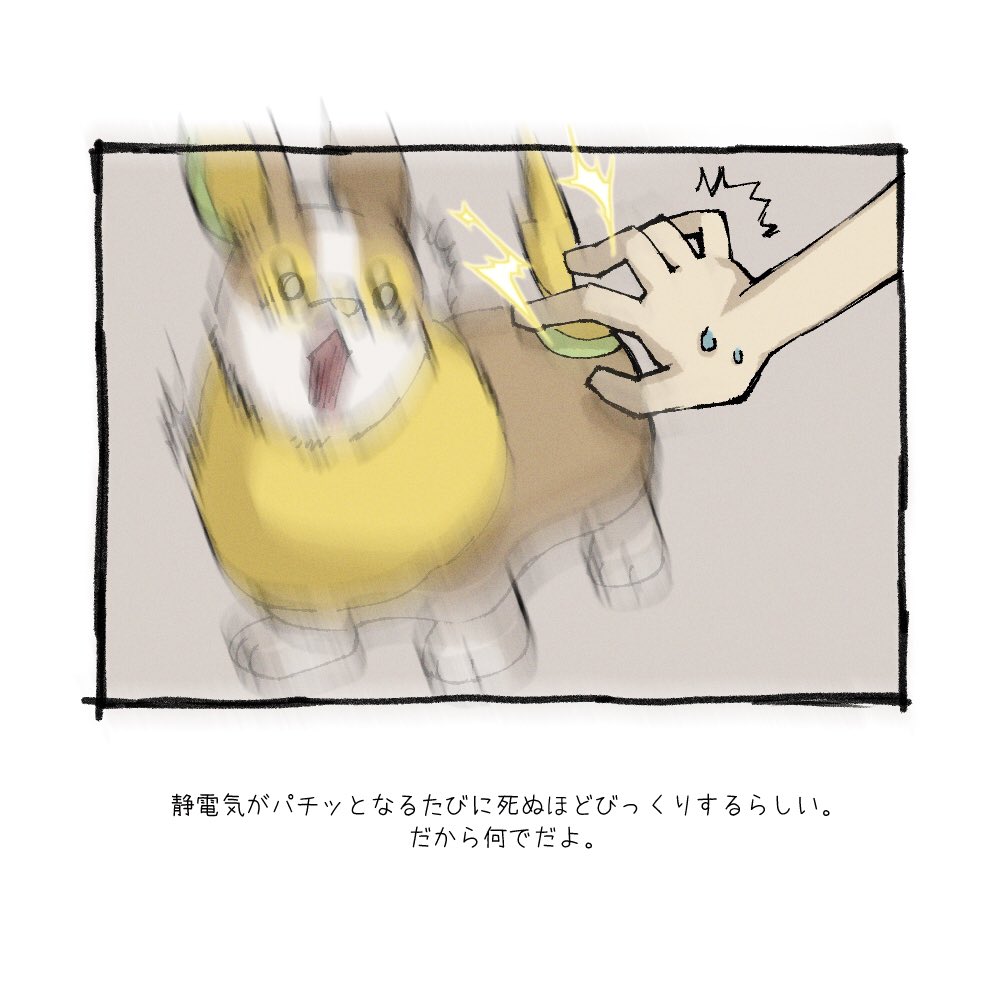 ワンパチと暮らしている人の呟き  #ポケモンと生活 