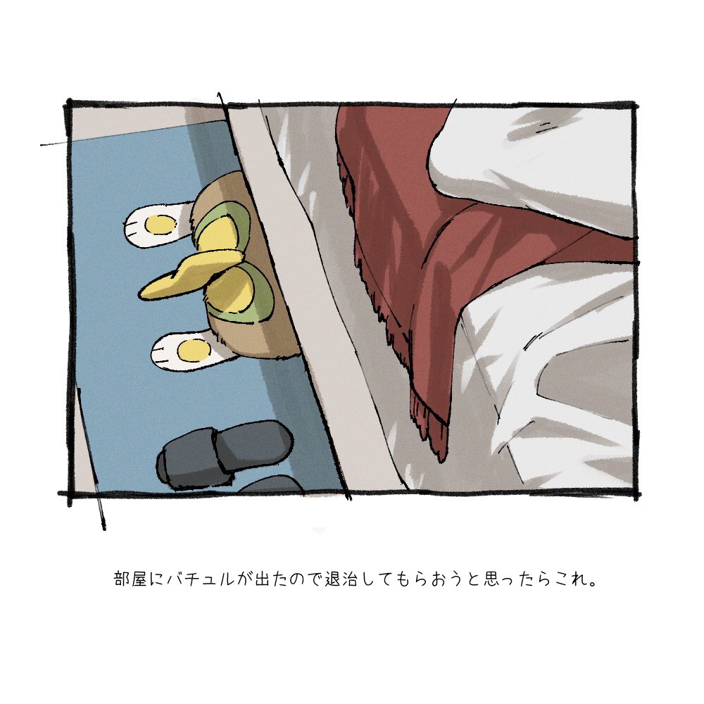 ワンパチと暮らしている人の呟き  #ポケモンと生活 