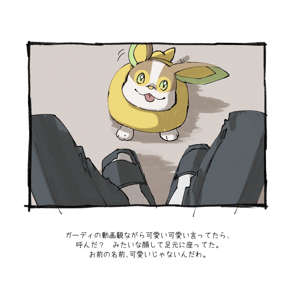ワンパチと暮らしている人がステイホームを楽しんでいる  #ポケモンと生活 