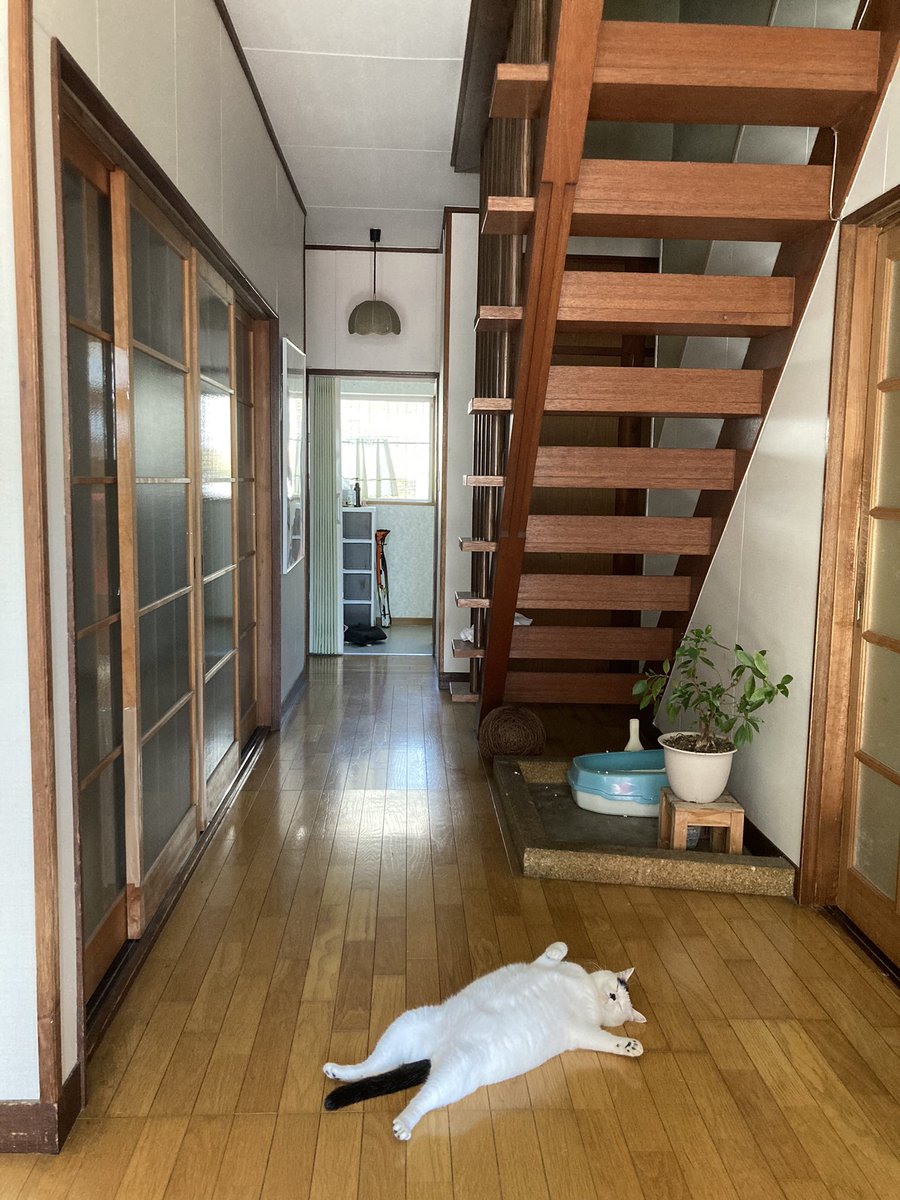 日曜日も落ちてる 