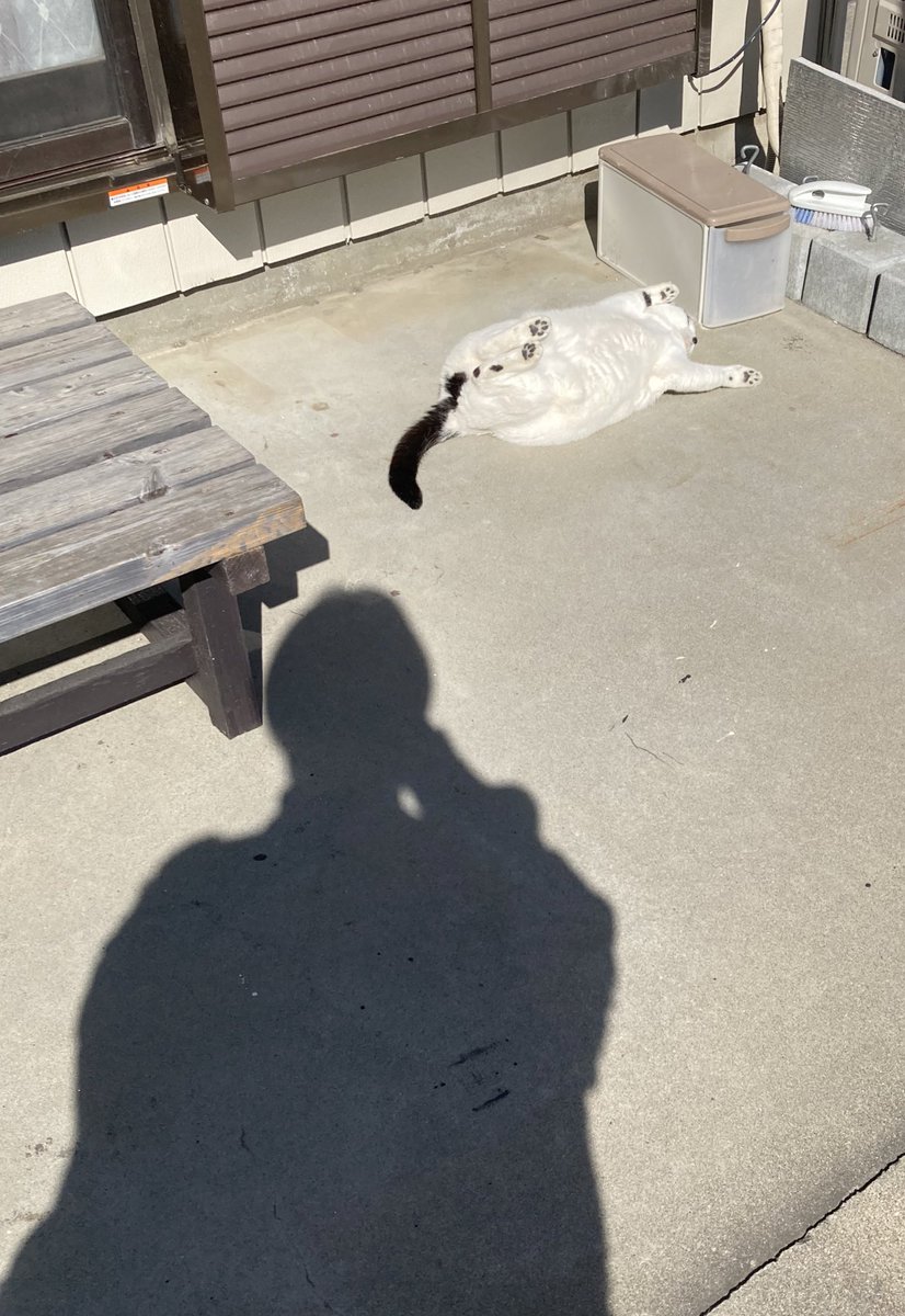 軒先に落ちてた 