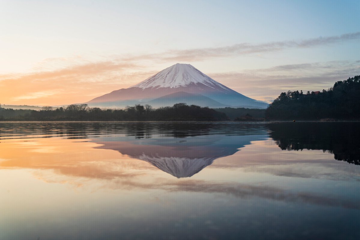 あるーひ、湖のそばで、せっせと逆さ富士を撮っていると、右から左へと大きな白鳥がどんぶらこっこ〜どんぶらこっこ〜と流れてきました
