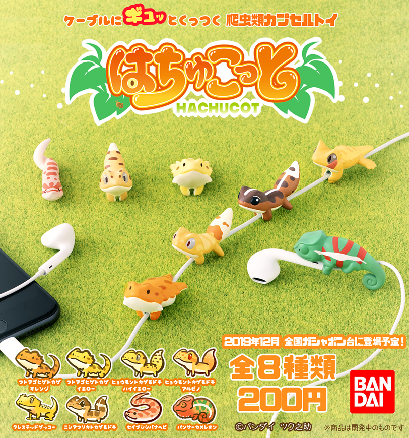   この冬、バンダイから爬虫類ケーブルマスコット「はちゅこっと」が登場します
