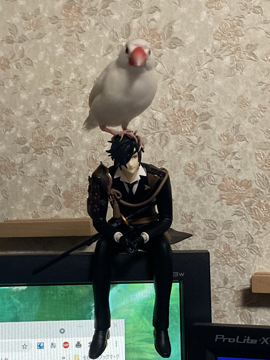 そこは宿木ではない 