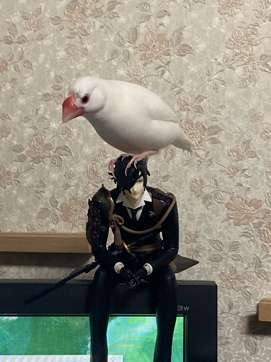 そこは宿木ではない 