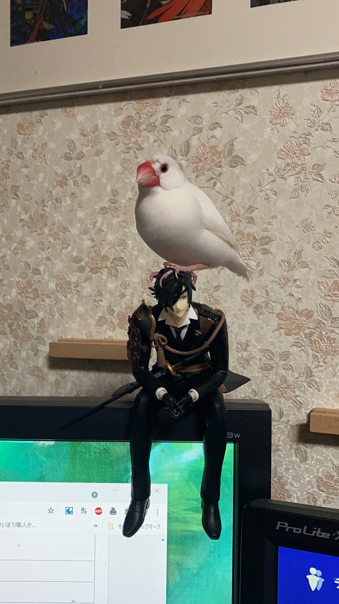 そこは宿木ではない 