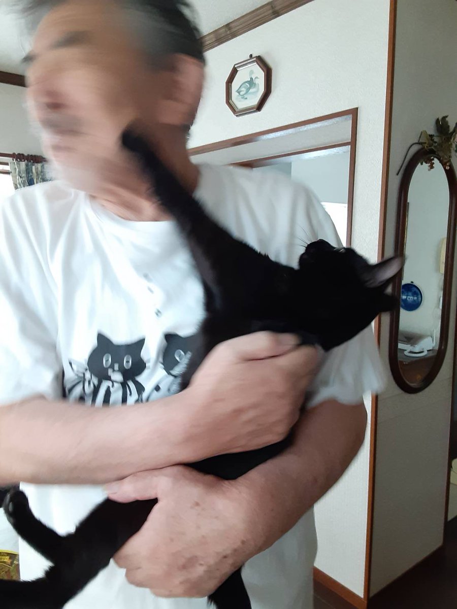 井上尚弥さん級のパンチが親父に炸裂しました。 