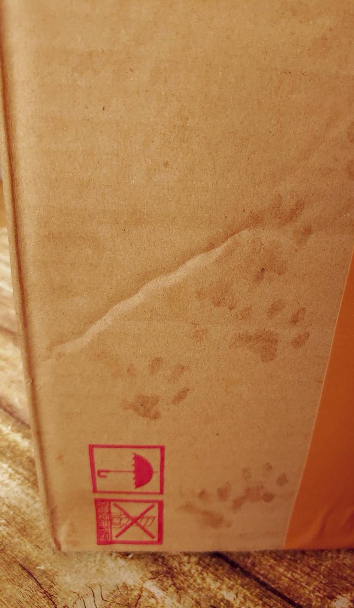 アレルギーもないし、外箱なんで気になさらず)  って肉球