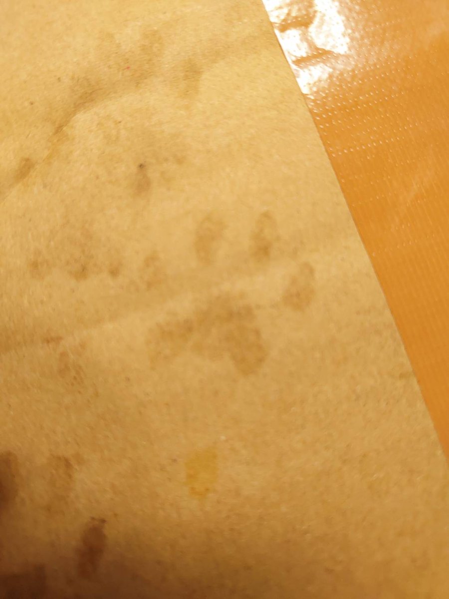 アレルギーもないし、外箱なんで気になさらず)  って肉球