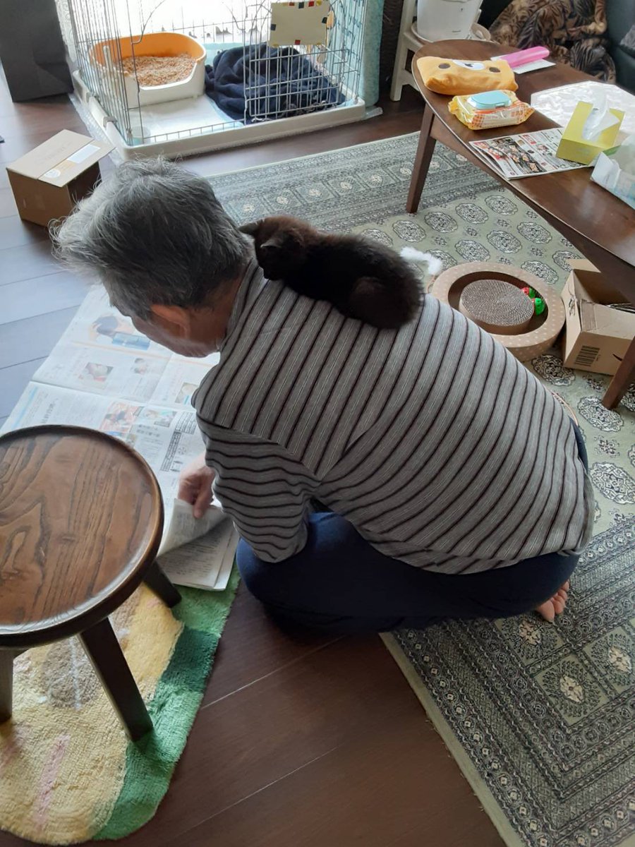 カラスにつつかれてる所を親父が拾ってきたんだけど、めっちゃ好かれてて笑った 