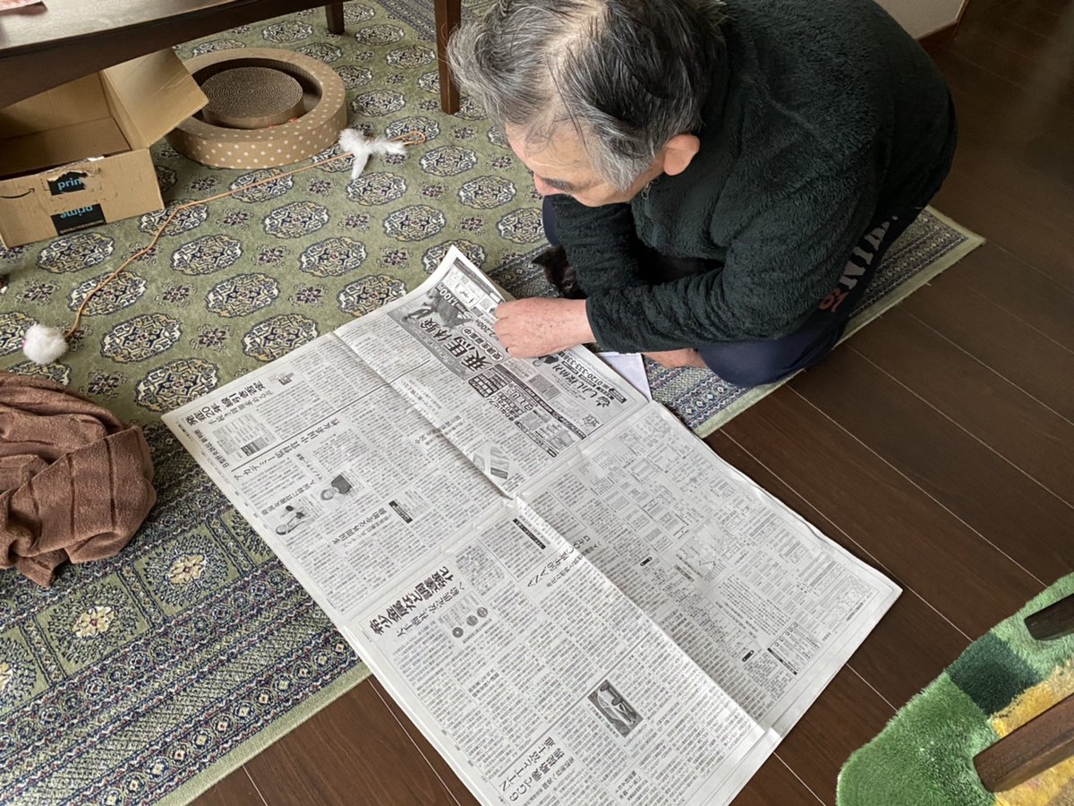 新聞を一緒に見るのが、親父と猫の日課になってて不思議 