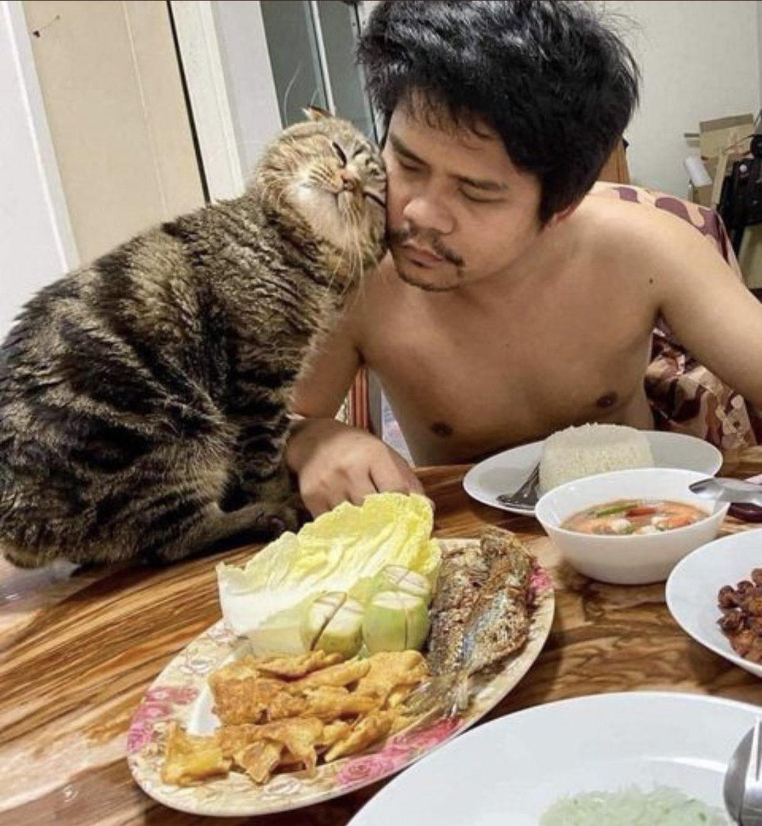 「猫に夫を奪われました」そう語る妻の嘆きを証拠写真と共にご覧ください 