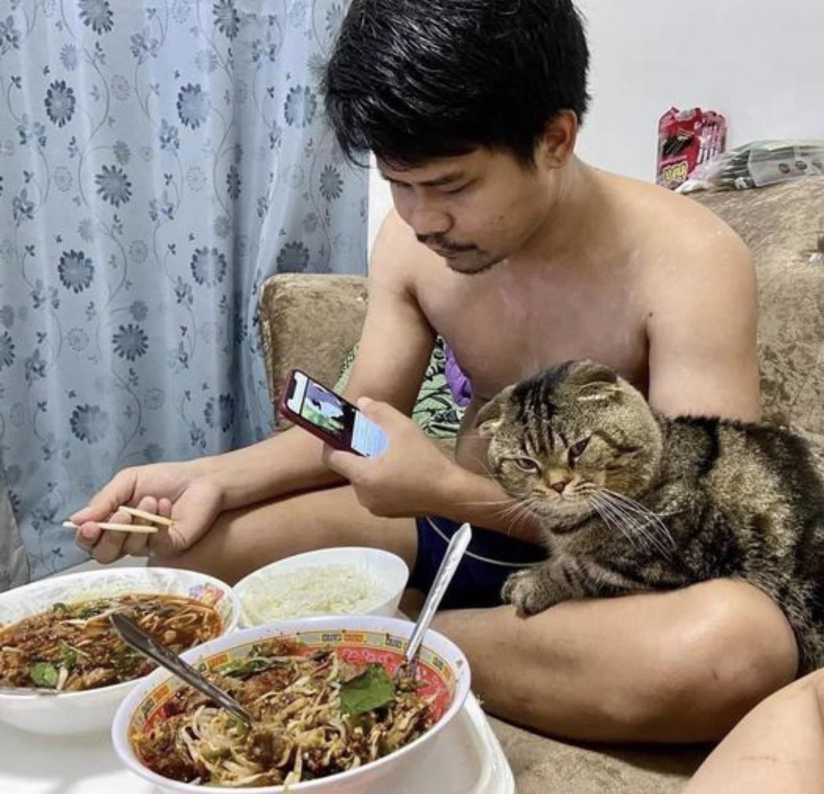 「猫に夫を奪われました」そう語る妻の嘆きを証拠写真と共にご覧ください 