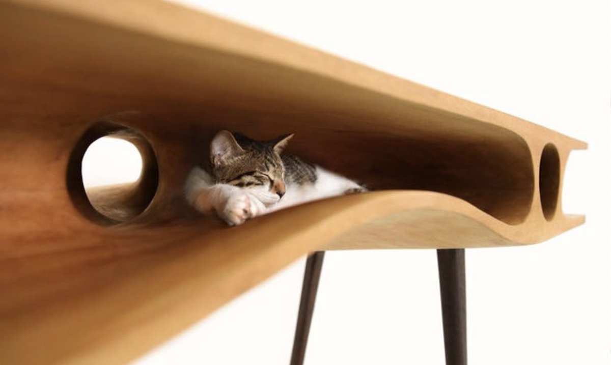 香港の建築事務所がデザインした、どこまでも「ネコ目線」で人とネコが共存するデスクが癒される 