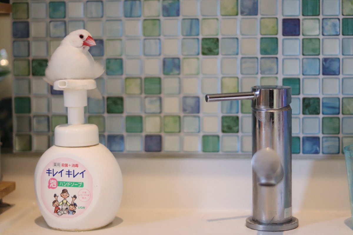 ハンドソープ… 押せない( ¯▽¯ ) 